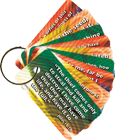Basics (Back to the Basics) Scripture Memory Key Tag Set